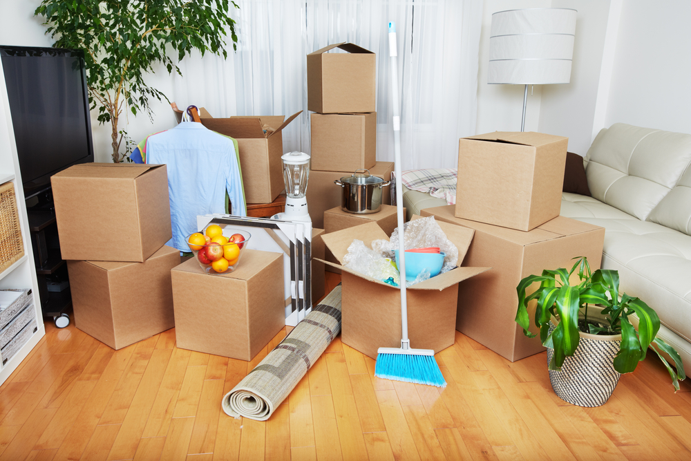 An assortment of cardboard boxes containing valuables is spread out across a living room. A broom, potted plant, rug, dress shirts, a lamp and a bin of fruit can be seen around them.