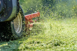 Lawnmower cutting grass